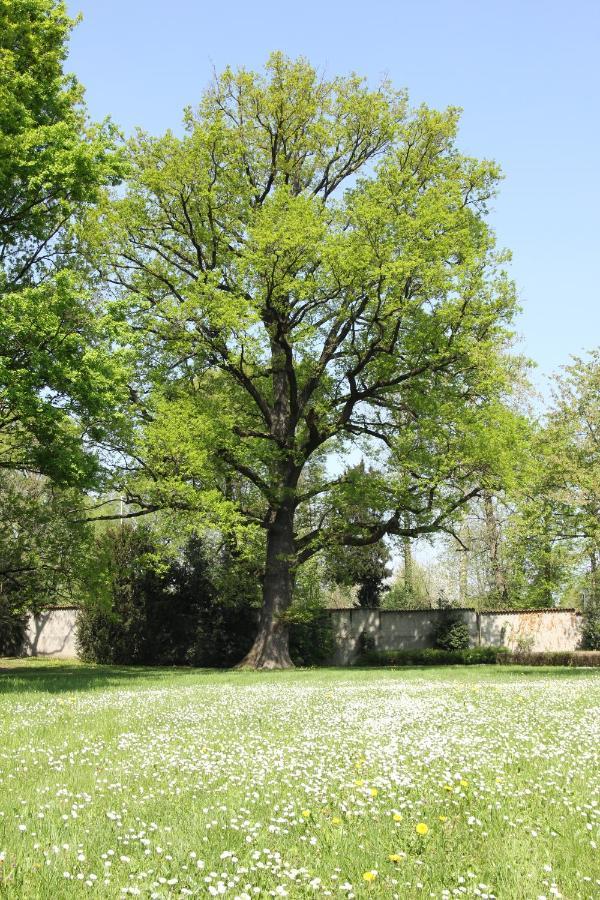 Storica Quercia B&B Nerviano Bagian luar foto